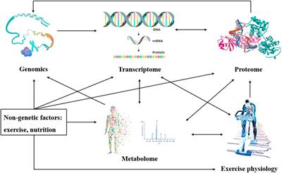 Research advances in the application of metabolomics in exercise science